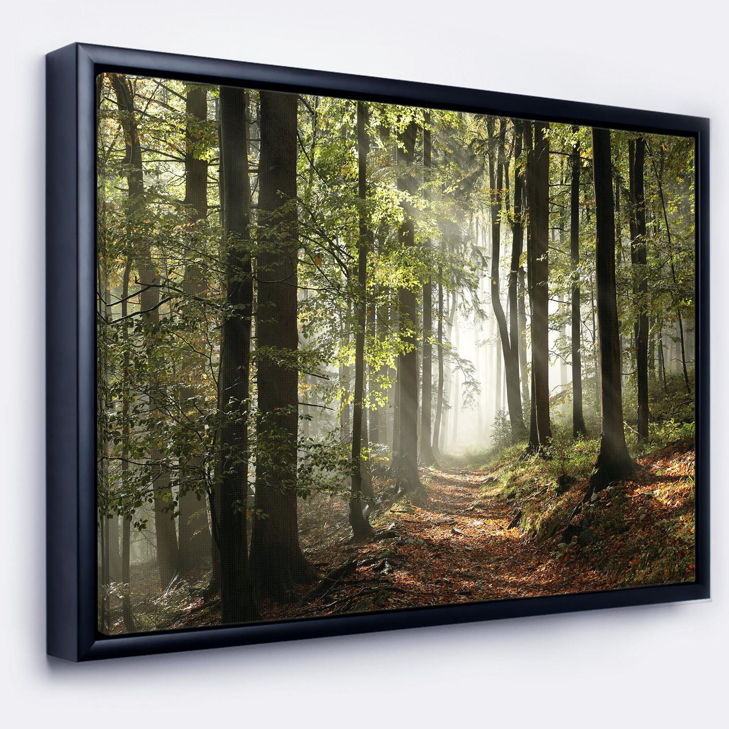 Designart Forêt verte d'automne avec des rayons de soleil ART MURAL À CADRE FLOTTÉ