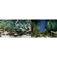 thumbnail image 1 of Penn-Plax, 2 sided Background, 1 of 3