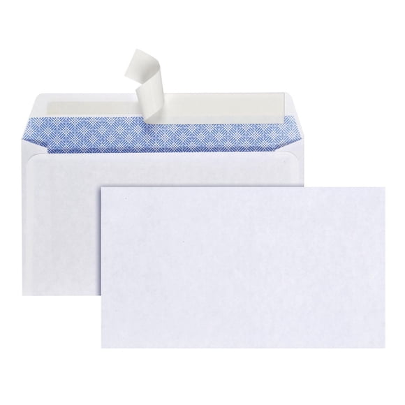 #6-3/4 Peel & Seal Security Envelope 20#