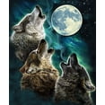 thumbnail image 1 of Dawhud Direct III Trois Wolf Lune 75 Pouces"x90 Pouces" Couverture en Molleton, 1 of 5
