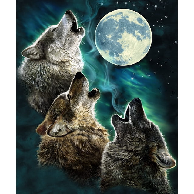 Dawhud Direct III Trois Wolf Lune 75"x90 Pouces Couverture en Molleton Présentant un design vibrant de Trois Loups Hurlants sous une Pleine Lune Lumineuse contre un Ciel Nocturne Étoilé. Fabriquée en polyester 100 %, Cette Couverture Format Grand Lit Est Douce, Chaude et durable, Parfaite pour une Utilisation Intérieure Ou Extérieure comme Jeté Ou Couette. Lavable à la Machine pour un Entretien Facile, Elle Est Idéale pour les Amateurs de Wolf et Constitue un Excellent Cadeau pour Tous les Âges.