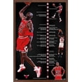 thumbnail image 1 of Michael Jordan - Timeline Wall Poster, 22.375" x 34" Framed, 1 of 4