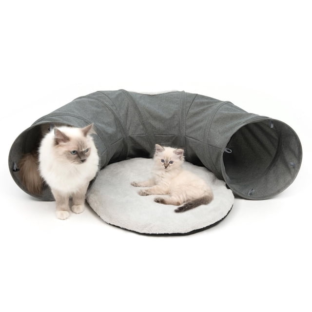 Catit Vesper Cat Tunnel Gris, un Tunnel en Tissu Pliable Ouvert aux Deux Extrémités avec un Coussin Rond en Peluche à l'Intérieur, Montré avec Deux Chats Duveteux Jouant et Se Reposant. Convient aux Chatons et Chats Ludiques, Ce Jouet Cat Comprend une Ouverture « peek-a-boo » avec un Jouet Balle en Peluche et Est Facile à Plier et à Nettoyer.