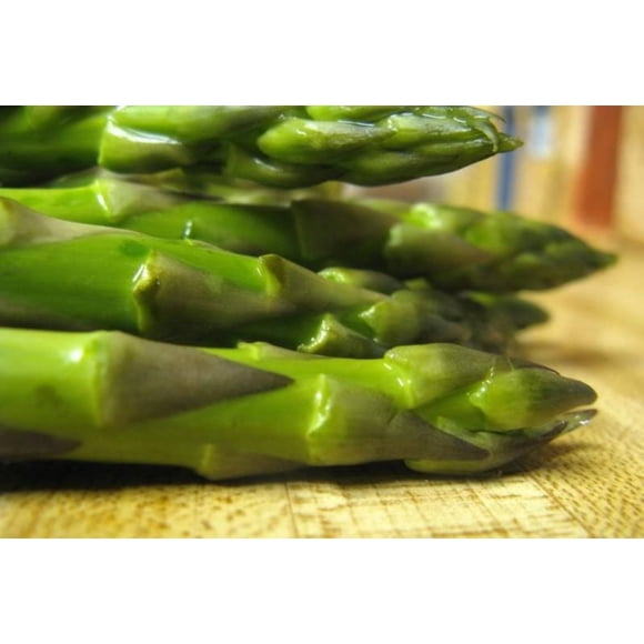 100 Graines Vivaces d'Asperge Officinale MARY WASHINGTON Asperagus Officinalis