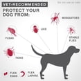 thumbnail image 4 of K9 Advantix II Flea and Tick Treatment for Large Dogs (4 doses), 4 of 7