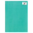thumbnail image 1 of Plaskolite 1232875 24 x 18 in. Polycarbont Sheet, 1 of 1