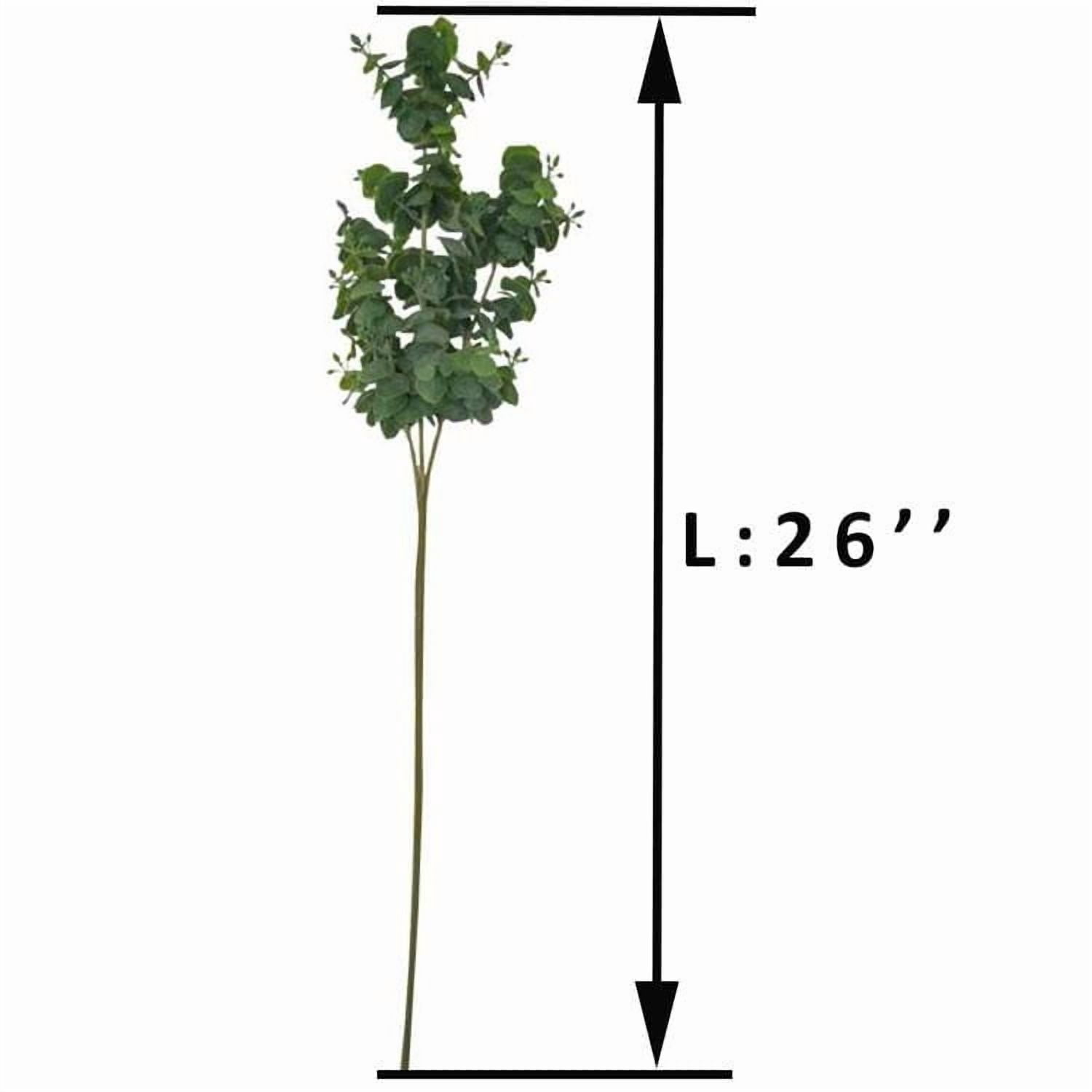 Tige d’eucalyptus Lerman Decor