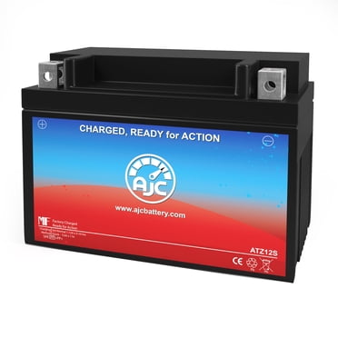 Yuasa YTZ12S 12V Powersports Replacement Battery