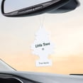 thumbnail image 4 of LITTLE TREES air freshener True North 6-Pack, 4 of 8