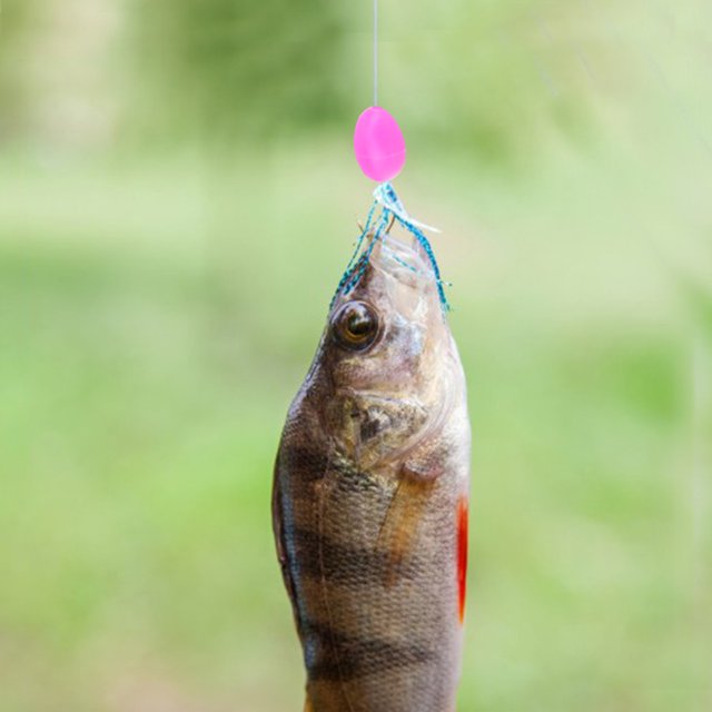 Plastic Fishing Bead, 5 Colors Plastic Fish Lures, Mini Box Sea Fishing for Wild Fishing Pool Lake