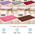 thumbnail image 2 of Tapis de Semelle Antidérapant en Velours Corail pour Salon Entrée Intérieur Violet, 2 of 8