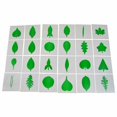 thumbnail image 2 of IFIT Montessori Leaf Cards, Montessori Toy Botany Materials, 2 of 2