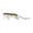 B, variant on Realistic 3D For Trout & Catfish Fishing For Freshwater & Saltwater Baitcaster Reels Baitcaster Rod And Reel Combo Baitcaster Rod Baitcaster Baitcaster Combo Baitcaster Reels And Rod Combo Baitcaster