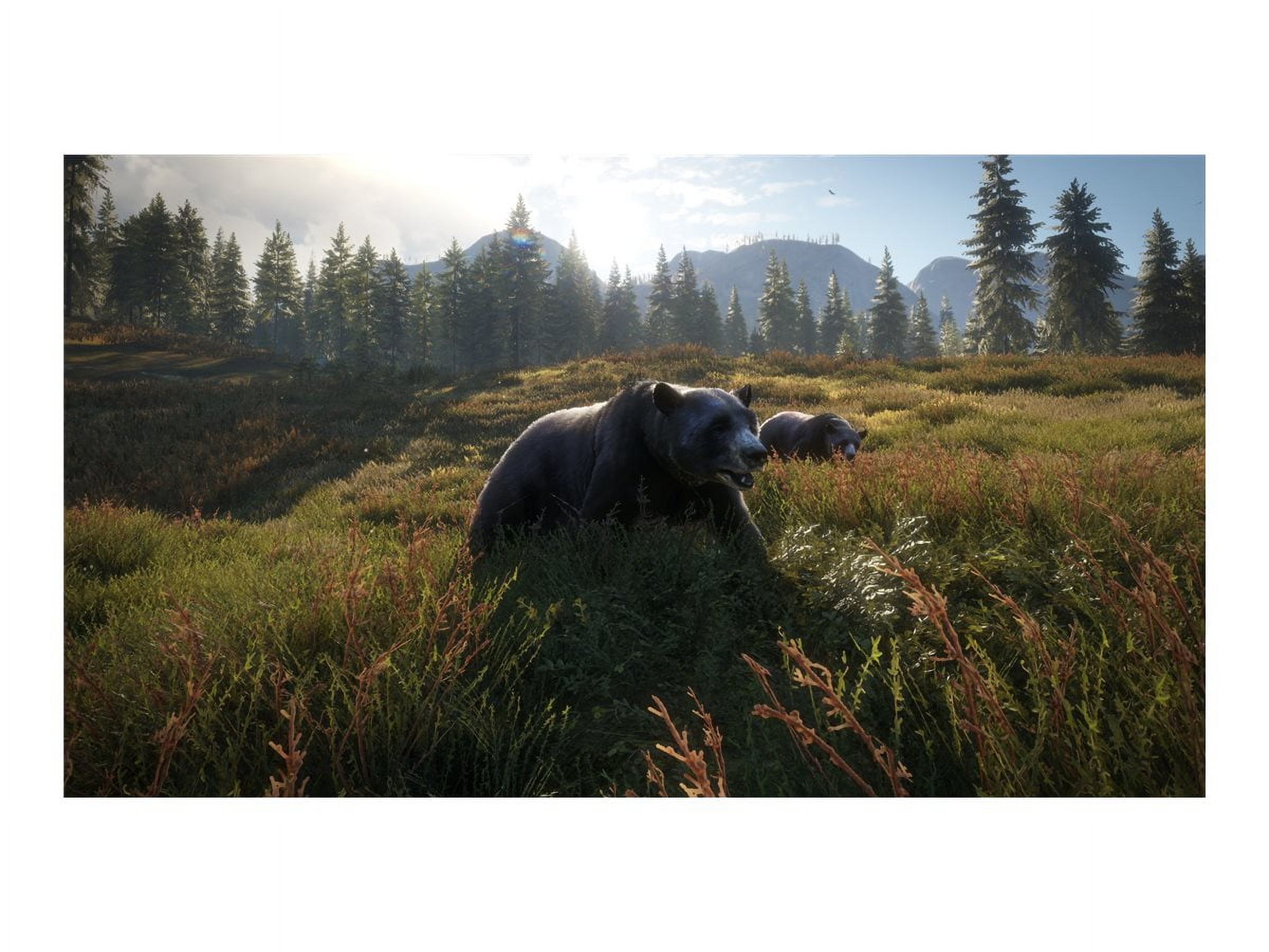 Jeu vidéo The Hunter Call of The Wild pour (PS4)