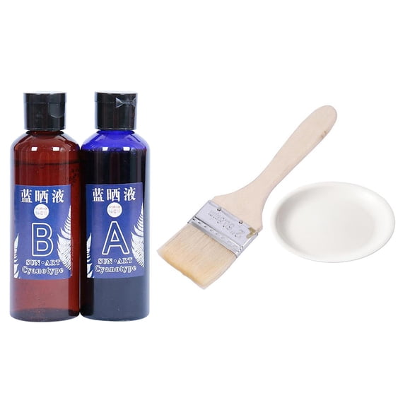 veasfak Kit Cyanotype pour Papier, Assorti à Brosse Palette Gants Tablier en Paille 100 ml