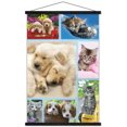 thumbnail image 1 of Keith Kimberlin - Collage de chiots et de chatons, 1 of 4