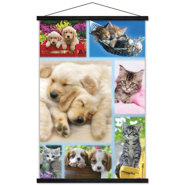 Keith Kimberlin - Affiche Murale Collage de Chiots et Chatons, 22,375 Po x 34 Po Présentant un Collage Lustré de Chiots golden retriever Dormant, de Chatons Câlinés dans un Hamac, d'Un Chaton tabby sur une Couverture Rose, d'Un Chaton Gris Près des Fleurs et d'Un Chaton tabby Assis sur une Chaise Jaune, Convient pour Décorer des Chambres, des Bureaux Ou des Dortoirs.
