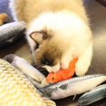 thumbnail image 2 of 50 % de Rabais! 30CM Chat Jouet Simulation Poisson Jouet Chat Menthe USB Charge Argent Arowana, 2 of 6