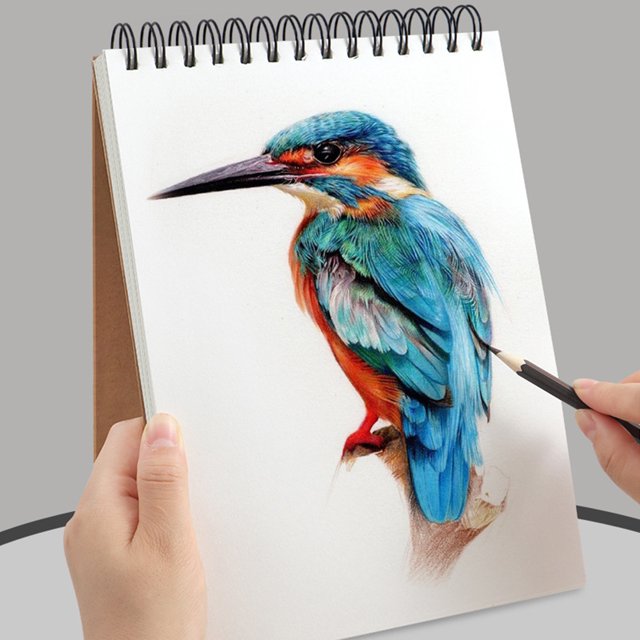 YAOMOBB Colored Pencil Sketchbook Professional A4 Sketchbook Drawing Painting Thickened PH neutral Graphite Pencil Sketchbook
