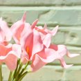 thumbnail image 4 of CHUANK 20pcs Artificial Calla Lily Silk Flowers 13.4” for Home Kitchen Wedding Table Decoration (White), 4 of 18