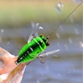 thumbnail image 4 of Cicada Attrape-pêche Attractif pour Bar en Eau Douce Plastique Réaliste avec Hameçon Fort Appâts de Natation Réutilisables, 4 of 5