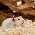 thumbnail image 4 of Adorable Hat for Small and Cats with Adjustable Strap Soft Breathable Outdoor, 4 of 4