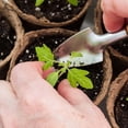 thumbnail image 4 of B Paper Biodegradable Pulp Seed Germination Pot 6X6Cm For Garden Planting Cultivation, 4 of 7