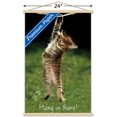 thumbnail image 3 of Célèbre chaton accroché là-bas Poster, 3 of 5
