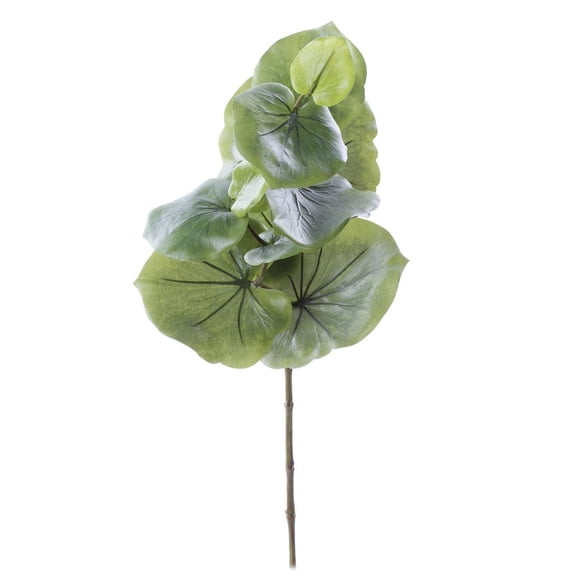 Tige tropical d'eucalyptus 28" Danson Decor