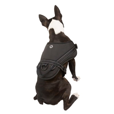 One Paw, Heavy Duty Dog Harness with Reflective Stitching, Multiple Sizes