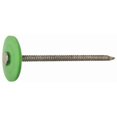 thumbnail image 1 of Hillman Fasteners 461503 Galvanized Plastic Cap Roofing Nails - 2 in., 1 of 1