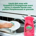 thumbnail image 5 of Palmolive Essential Clean Liquid Dish Soap, Grapefruit Pomegranate Scent - 473 mL, Palmolive Essential Clean, 5 of 5