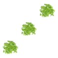 thumbnail image 3 of QualitChoice Lot de 50 Embouts de Câbles de Frein de Vélo de Montagne Remplacement Protecteur de Ligne de Dérailleur Manches de Protection Cyclisme Vert 3ensemble, 3 of 6