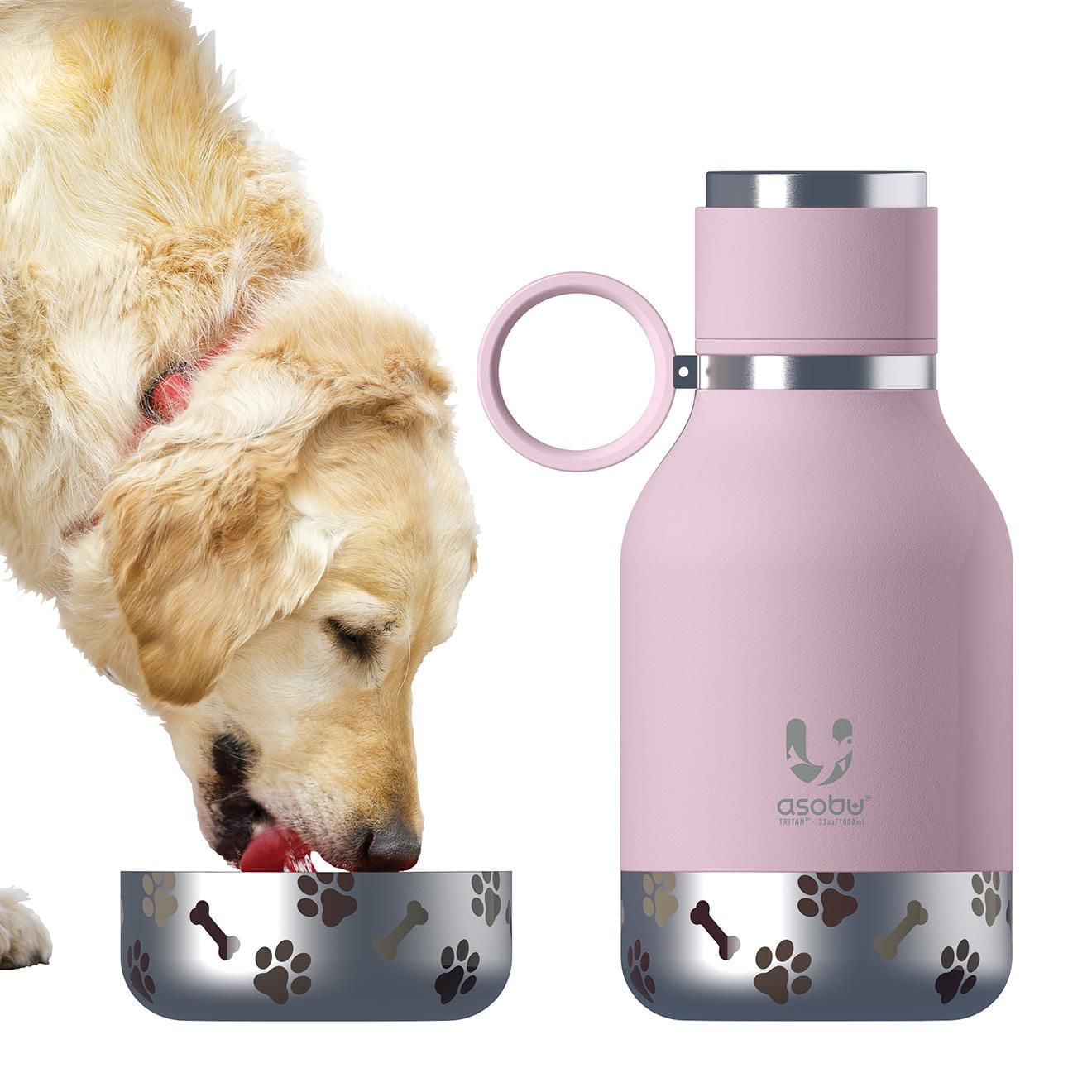 Asobu BOUTEILLE CHIEN
