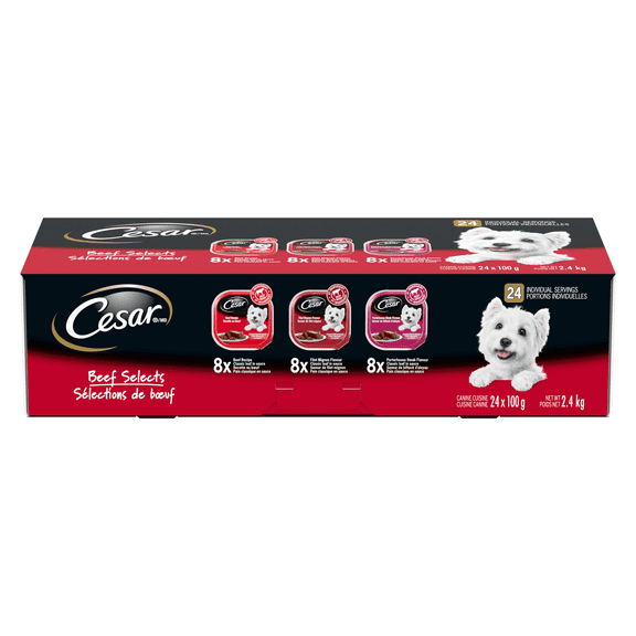 CESAR Classic Loaf in Sauce Wet Dog Food Beef Selects Variety, trays 24x100g