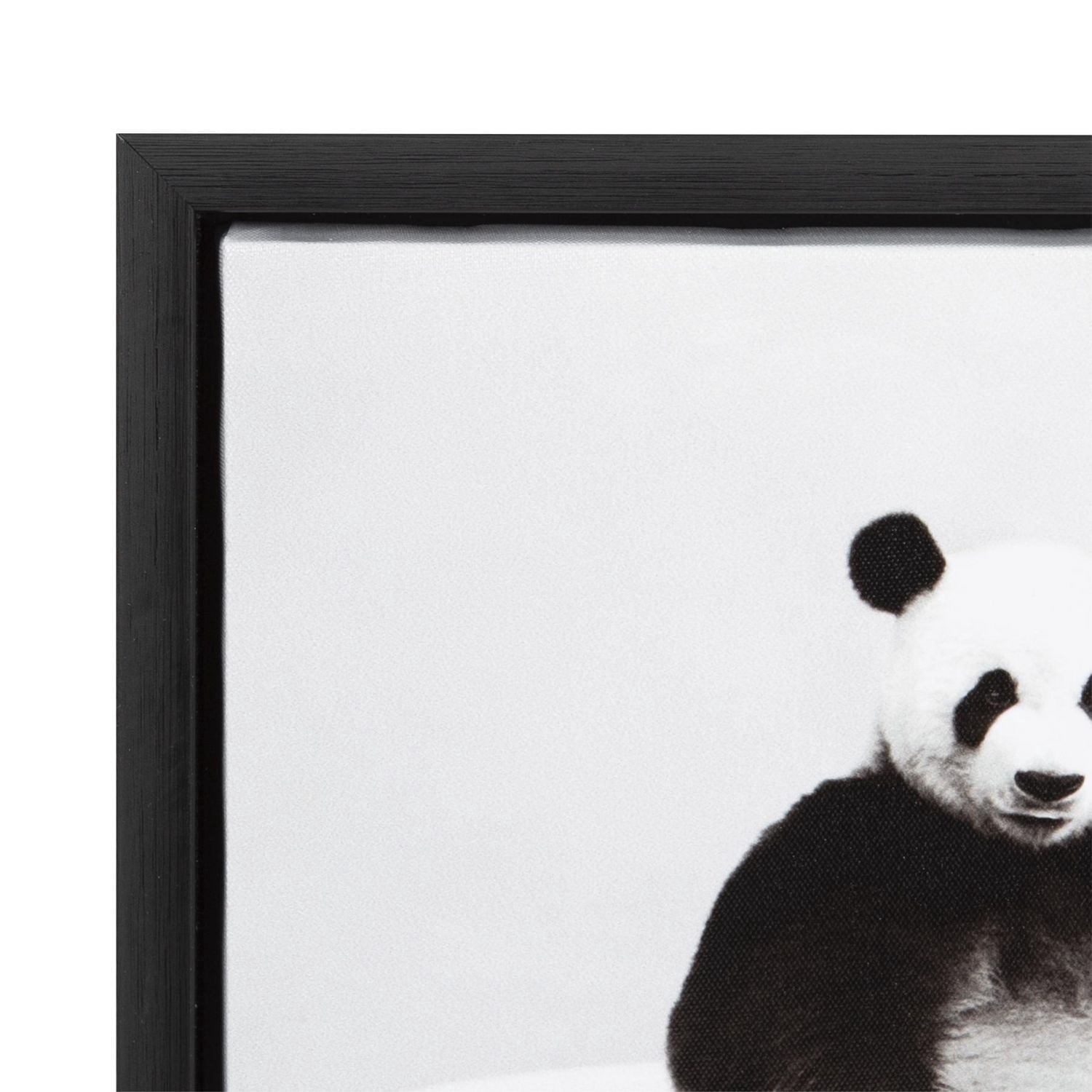 Reproduction d'œuvre d’art sur une toile encadrée panda dans une baignoire de 35,6 x 35,6 cm par Amy Peterson, DesignOvation