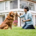 thumbnail image 4 of TopLLC Led Flashlight Double Head Dog Double Horn Dog Training Dog Barking Device, 4 of 9