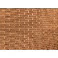 thumbnail image 1 of Ahgly Company Machine Washable Indoor Rectangle Transitional Orange Area Rugs, 8' x 12', 1 of 7