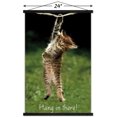 thumbnail image 3 of Célèbre chaton accroché là-bas Poster, 3 of 5
