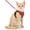 Red, variant on Cat Harness and Leash for Walking, Cat Car Harness, Escape Proof Soft Adjustable Vest Harnesses for Cats, Easy Control Breathable Strips Harness, Kitten Harness and Leash Set, Black