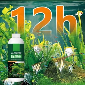 Usloyux Aquarium Algae Remover, Safe Water Purification Agent for Fish Tank, Moss Cleaner Eliminates Algae Growth, Water Clarifier for Freshwater Tanks, Fish Safe Treatment for Clear Water, 200ml