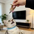 thumbnail image 4 of Interactive Cat Collar Teaser Wand for Indoor Play and Exercise with Feather Attachment and Coil Construction, 4 of 4