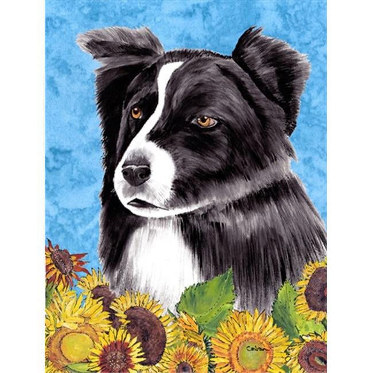 Carolines Treasures SC9071GF Border Collie Flag Garden Size