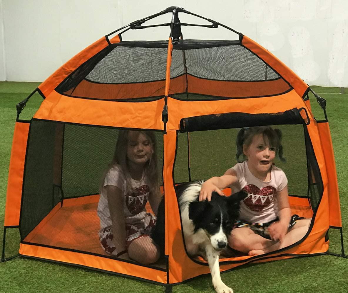 Handlers Choice Stylo POP-UP léger / Tente / Boîtier
