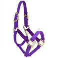 thumbnail image 2 of Jacks 1823-PU-L Deluxe Mini Halter, Purple - Large, 2 of 4
