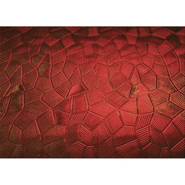 Ahgly Company Tapis Rectangulaire Lavable en Machine Intérieur Transitionnel Rouge Tomate, 4 Pieds x 6 Pieds