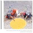 thumbnail image 3 of Luxshiny 50 Pcs Éponges en Forme de Crabe Rétention d'Humidité Ton de Peau Crabe Ermite, 3 of 5