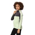 thumbnail image 4 of Regatta Boys/Girls Hewley Recycled Half Zip Fleece Top, 4 of 5