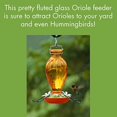 thumbnail image 2 of Audubon-Woodlink 991013 Mangeoire Décorative en Verre Oriole, 2 of 3