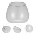 thumbnail image 3 of MasteelfCA 1 Pc Microlandschaft Terrarium Flower Glass Vase Micro-Ecology Environment Bottles Succulent Plant Vase Glass Container for Flower (Transparent), 3 of 7
